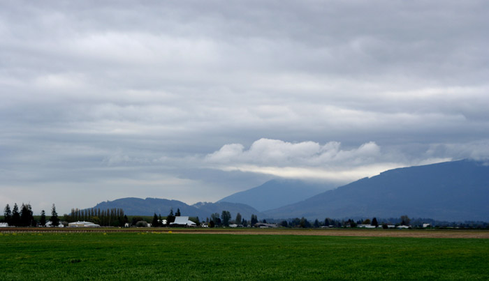 skagit09