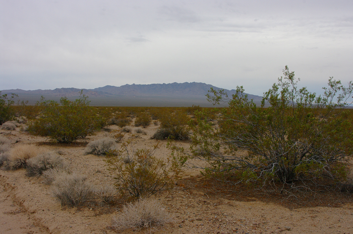 p011657