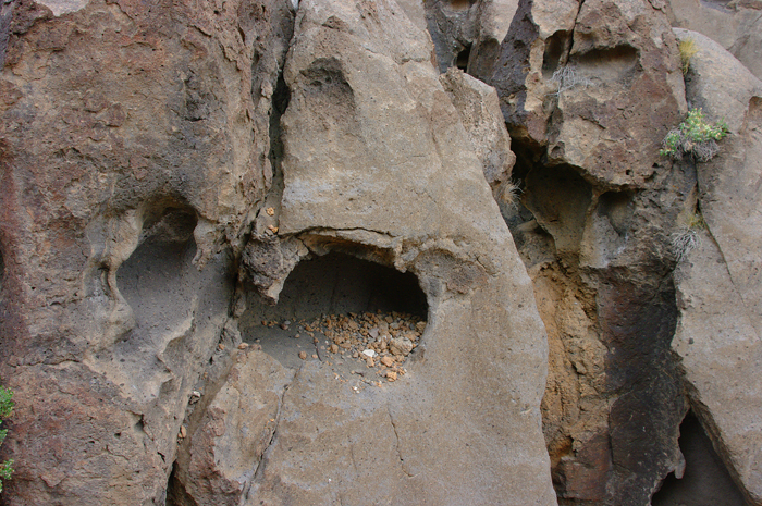 p011697