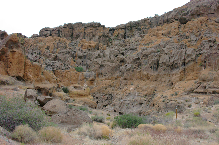 p011703