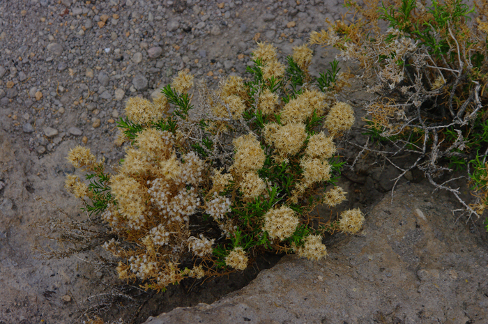 p011711