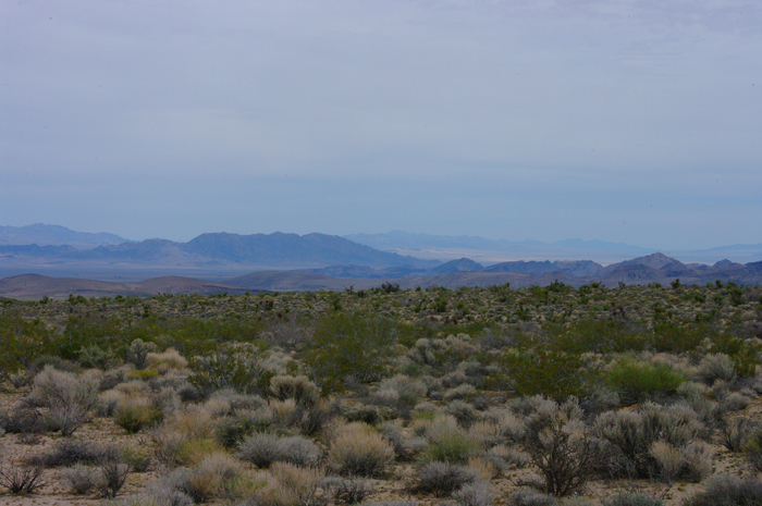p011721