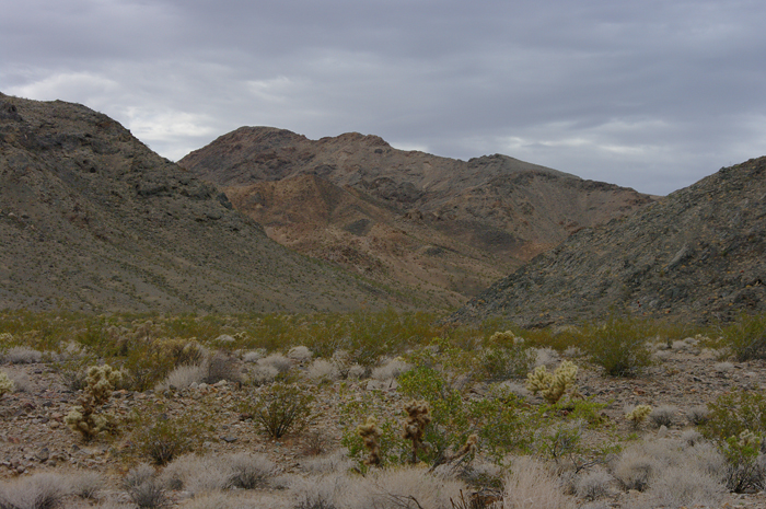 p011753