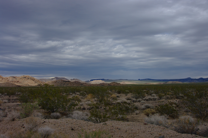 p011791