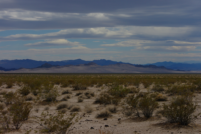 p011802