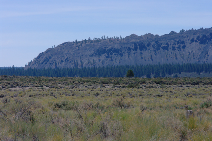 p011929