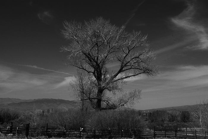 s106420a