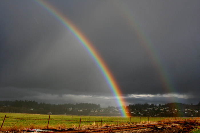 rainbo05