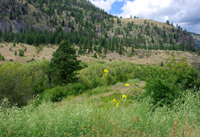 p008661