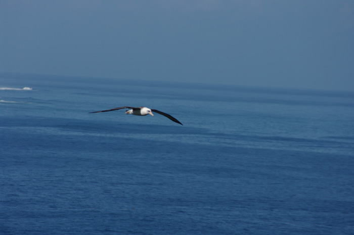 p007009